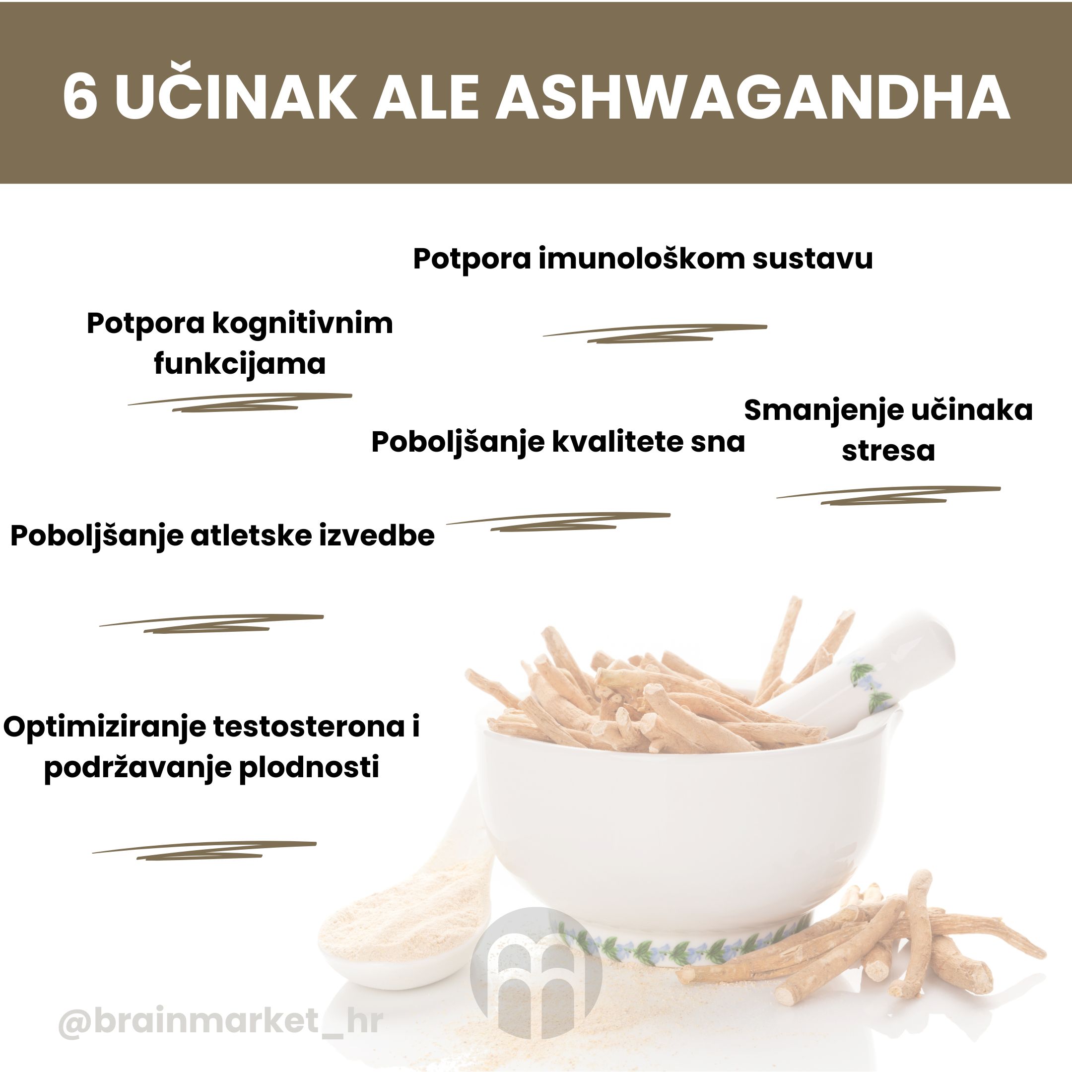 (Chorvatština) (34)